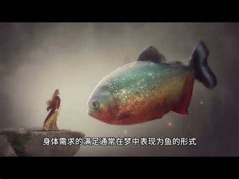 魚代表數字|【魚代表數字】魚代表數字的驚人秘密是什麼？